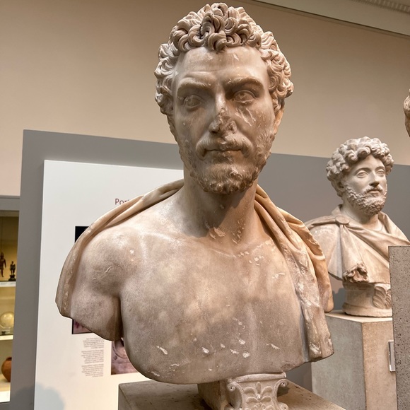 Free Shipping On Bundles Of Three Or More Items - Picture 5 of 13